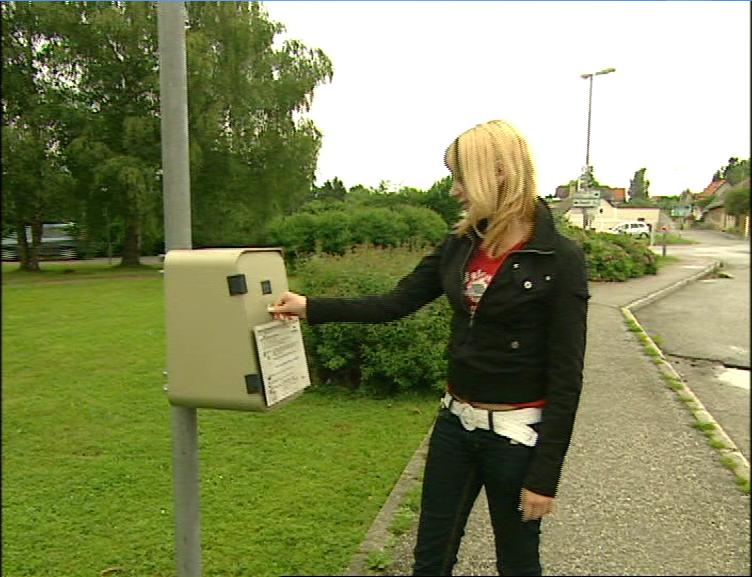 RUFBUS - Der Film (ca 11 MB)